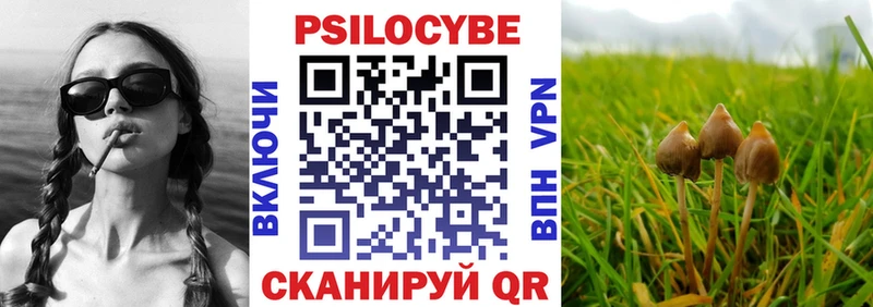 Галлюциногенные грибы MAGIC MUSHROOMS ОМГ ОМГ tor Карачаевск закладки
